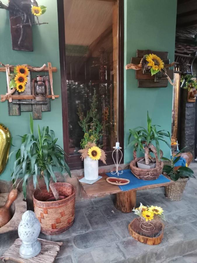 Etno Kuca Teodora Panzió Stajicevo Kültér fotó